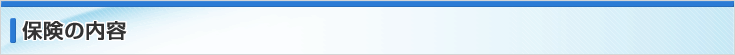 保険の内容