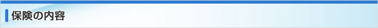 保険の内容